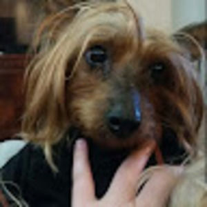 Meet your Posher, Brooklyn